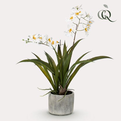 Kunstplant - Orchidee Wit - Hoogte 45cm