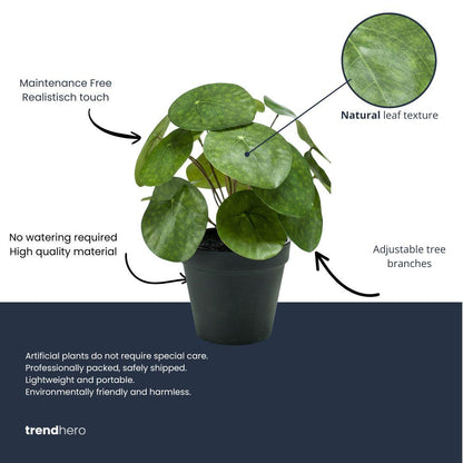 Kunstplant - Pilea Bush in Zwarte Pot Hoogte ↕ 25cm