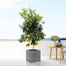 Sierpot Block Grey - S - Pot Ø 30cm Hoogte ↕ 30cm