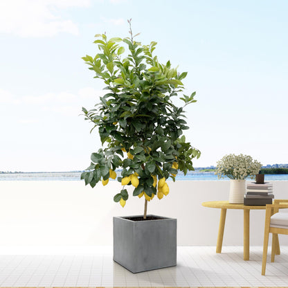 Sierpot Block Grey - S - Pot Ø 30cm Hoogte ↕ 30cm