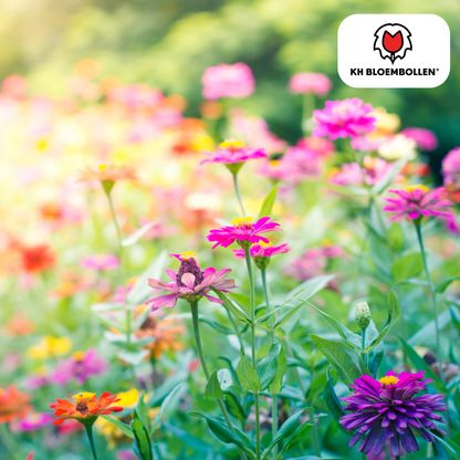 Wilde Bloemenzaad Mengsel - 100 gram - voor Bijen en Vlinders