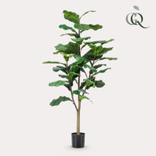 Kunstplant - Ficus Lyrata - Hoogte ↕ 120cm