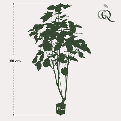 XL kunstplant - Ficus umbellata - Afrikaanse vijg - Hoogte ↕ 180cm