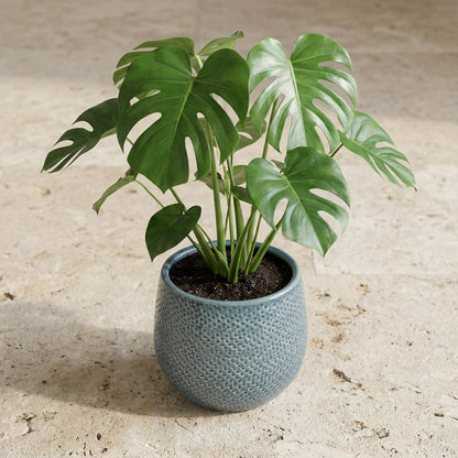 Pot Gabriel Rond Blauw - Ø 14cm
