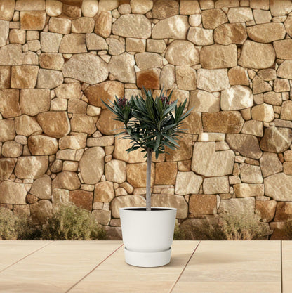 Buitenplant - Nerium Oleander op stam - Witte bloem - Pot Ø 19cm Hoogte ↕ 90cm