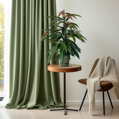 Kamerplant - Ficus Binnendijkii 'Amstel King' - Pot Ø 17cm Hoogte ↕ 75cm