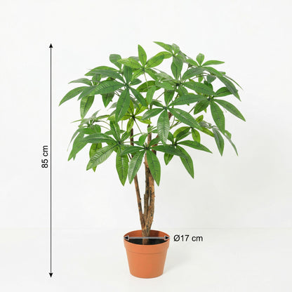 Kunstplant - Pachira Aquatica - Hoogte ↕ 86cm