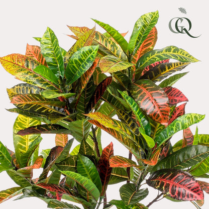 Kunstplant - Croton Codiaeum Wonderstruik - Hoogte ↕ 120cm