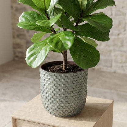Pot - Pot Relief Groen - Ø 13,5cm