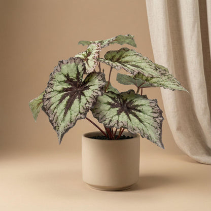 Kunstplant - Begonia in pot - UV-bestendig - Hoogte ↕ 26cm