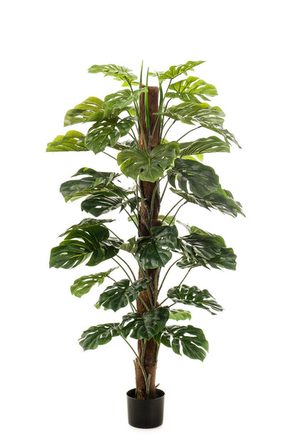 Kunstplant - Monstera Deliciosa - Hoogte ↕ 150cm