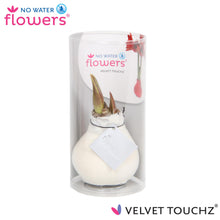 Kunstplant - Velvet Touchz® White In Koker - Hoogte ↕ 15cm