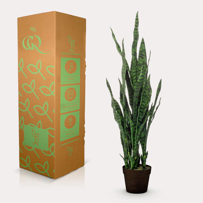 Kunstplant - Sanseveria Black Coral - Vrouwentong - Hoogte ↕ 97cm