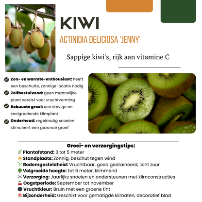 Buitenplant - Zoete oogst trio BIO Fruitplanten mix - Set van 3 soorten