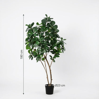 XL Kunstplant - Ficus Lyrata Boom - Hoogte ↕ 180cm