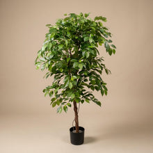 XL Kunstplant - Ficus Deluxe Vine Kunstboom - Hoogte ↕ 140cm
