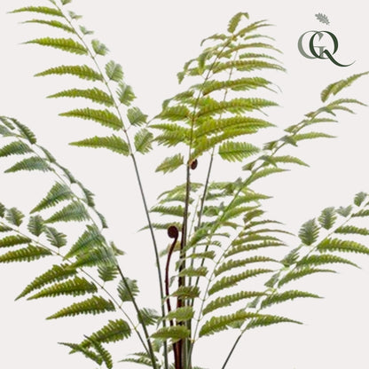 XL Kunstplant - Rumohra Adiantiformis - Ledervaren - Hoogte ↕ 150cm