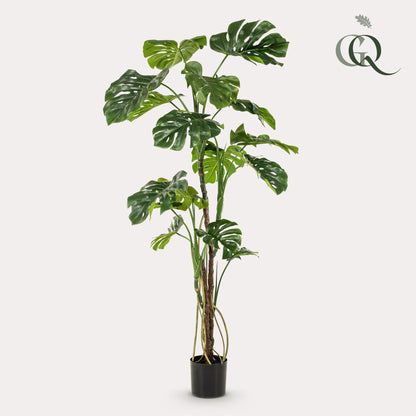 Kunstplant - Monstera Gatenplant - Hoogte ↕ 180cm