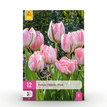 Bloembollen - Tulp Double Pink - Roze - 12 stuks - Bolmaat 11/12