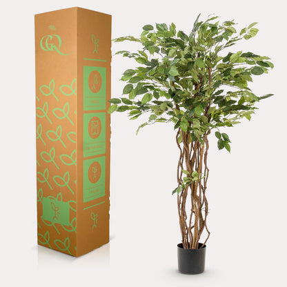 Kunstplant - Ficus liana Vioolbladplant - Hoogte ↕ 140cm