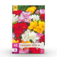 Buitenplant 40x Freesia Double Mix - Bloembollen Diverse Kleuren - Bolmaat 5/6