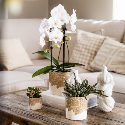 Sierpot - Bloom Sand - Ø 12cm