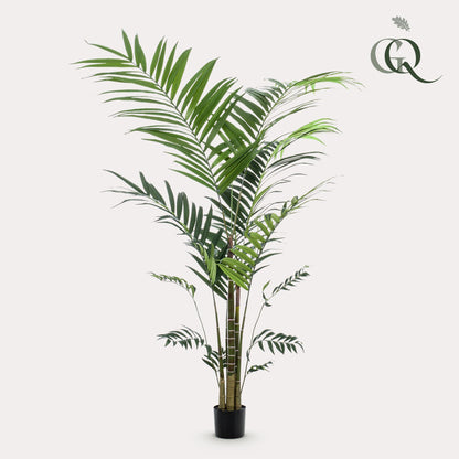XL Kunstplant - Kentia Kentiapalm - Hoogte ↕ 210cm