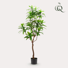 Kunstplant - Dracaena Drakenboom - 130 cm