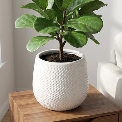 Sierpot Gabriel Rond Wit - Pot Ø 14cm
