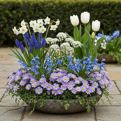 Bloembollen - Bulb Garden Blue Mix - Diverse soorten - 125 stuks - Geschenkverpakking