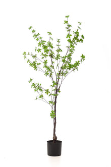 Kunstplant - Tropaeolum Speciosum Oost-Indische Kers - Hoogte ↕ 150cm