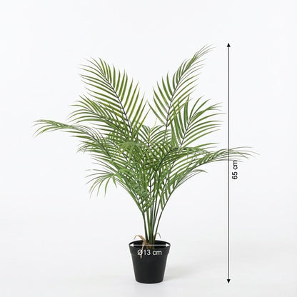 Kunstplant - Kentia Palm - Hoogte ↕ 65cm