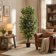 XL Kunstplant - Ficus Benjamina - Hoogte ↕ 180cm