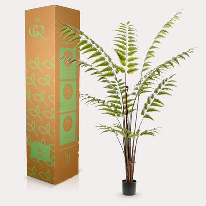 Kunstplant XL - Rumohra Adiantiformis Ledervaren - Hoogte ↕ 180cm