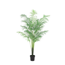 XL Kunstplant - Kentia Palm - Hoogte ↕ 170cm