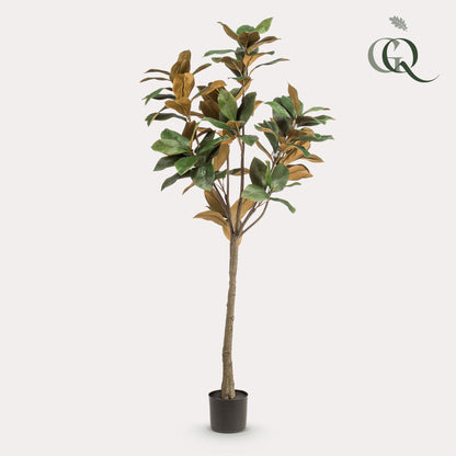 XL Kunstplant - Magnolia Grandiflora - Hoogte ↕ 150cm