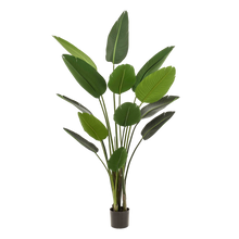 XL Kunstplant - Strelitzia Nicolai Paradijsvogelbloem - Hoogte ↕ 190cm