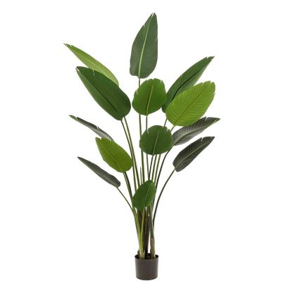XL Kunstplant - Strelitzia Nicolai Paradijsvogelbloem - Hoogte ↕ 190cm