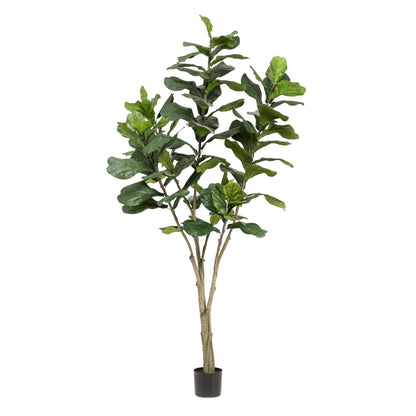 XL Kunstplant - Ficus Lyrata - 210cm