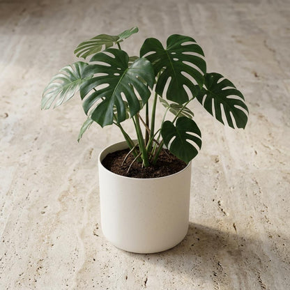 Sierpot - Elho B.for Soft White - Ø 16cm