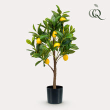 Kunstplant - Citrus Limonia Citroenboom - Hoogte ↕ 75cm
