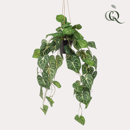 Kunstplant - Anthurium Clarinervium Aderplant - Hoogte ↕ 80cm