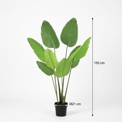XL Kunstplant - Strelitzia Nicolai - Hoogte ↕ 155cm
