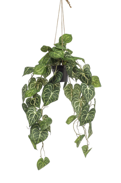 Kunstplant - Anthurium Clarinervium Aderplant - Hoogte ↕ 80cm