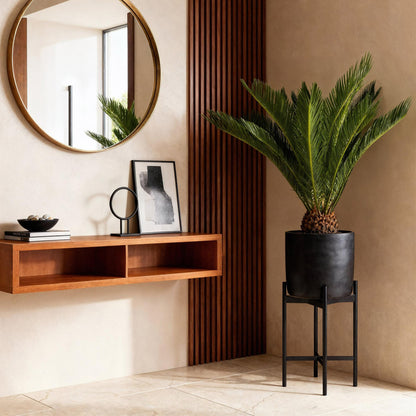 Green boutiQ - Kamerplant - Cycas revoluta - Palmvaren - Weinig onderhoud - Groen - 1 - Pot 17cm - Hoogte 55-65cm