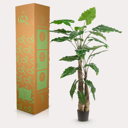 XL Kunstplant - Alocasia Olifantsoor - Hoogte ↕ 180cm