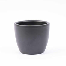 Mini-kerstboom set van 6 inclusief pot