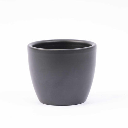 Mini-kerstboom set van 6 inclusief pot