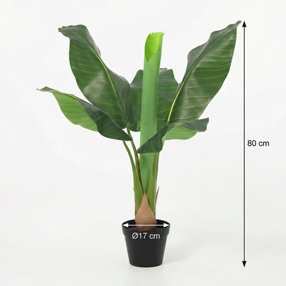Kunstplant - Bananenplant Musa - Hoogte ↕ 80cm