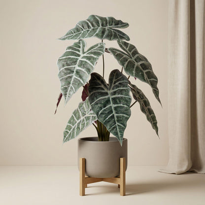 Kunstplant - Alocasia bush in pot - Hoogte ↕ 40cm